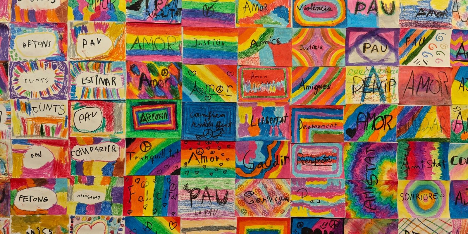 WhatsApp Image 2026-01-30 at 17.38.13